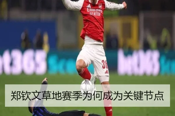 郑钦文草地赛季为何成为关键节点